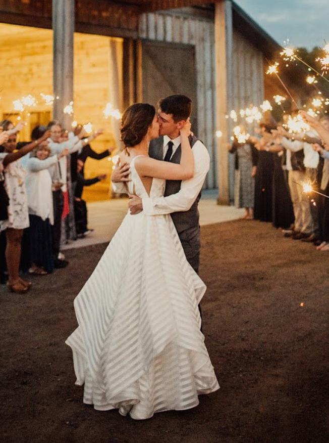 Deep V-Neck Stripes Plus Size Wedding Dresses Organza Backless Bridal Gown