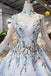Cinderella Lace Long Sleeves Wedding Dress with Embroidery Appliques