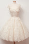 A-line Scoop Lace Homecoming Dresses Cap Sleeves Sweet 16 Dress